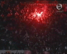 vive wydad